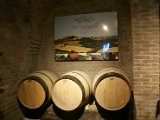 Chianti-2 2016 - 246.jpg